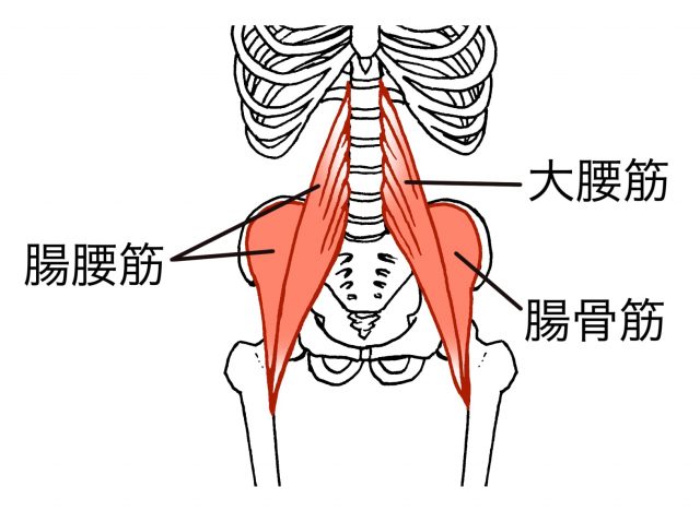 筋肉の持続的な緊張状態（疲労の蓄積）